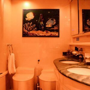 Deluxe Motoryacht 3 Cabins – 6 Guests